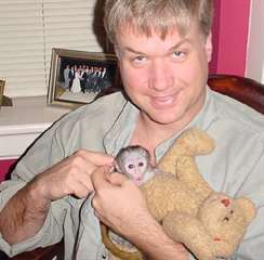Adorable bebe singe capucin !!! male et femelle e