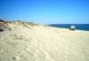 vacances bord de mer 800m de la plage au Portugal - photo 2