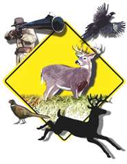 Droit de chasser sur lots forestiers &#224; vendre