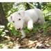 Chiots bull terrier a reservé