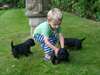 Chiots Cocker spaniel lof à réserver