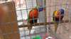 Deux beaux perroquets lorikeet de Rainbow à vendre