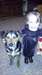 chien a donner