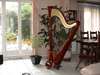 Harpe de concert 47 cordes double mouvement table - photo 1