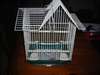 caage d'oiseau