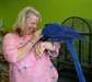 Paire Bavard Of Blue Macaw perroquet pour adoption - photo 2