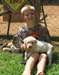 chiots Labrador