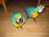 Talkative macaws and african grey parrots for sale