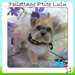 Toilettage P'tite Lulu a Sainte-Julienne