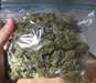 Grade A strains / 420 buds