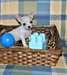 Superbe chiots chihuahua lof a reserver