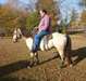 AQHA hongre enregistré (Quarter Horse)