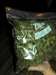 full HD plantes medicale