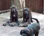 Superbes chiots Mâtin napolitain à vendre