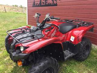 Yamaha Grizzly 700 EPS Special Edition