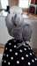 Perroquet gris du gabon - photo 1