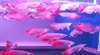Arowana poissons et beaucoup d'autres disponi