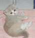 magnifiques chaton British Shorthair &#226;g&#233;s de 3 moi - photo 1