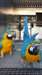 Les perroquets aras sont c&#233;l&#232;bres pour - photo 1