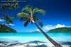 Vos vacances aux Iles Vierges américaines à 599$