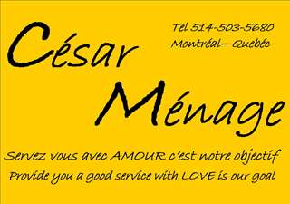 Promotion Cesar Menage 58 $