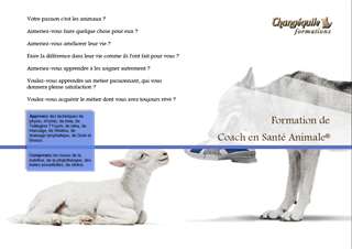 formation de coach en santé animale pr chiens