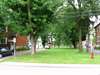 Magnifique Triplex Victorien - photo 4
