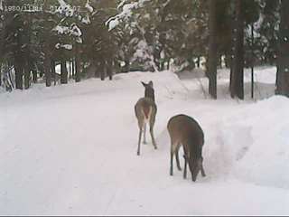 Le royaume de plein Air