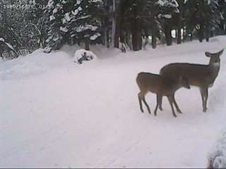 Calme et s&#233;r&#233;nit&#233; pour retrait&#233;s