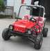 LES PROS DE LA BOUE : Dune Buggy 125cc - photo 2