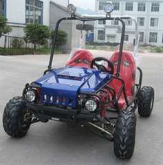 LES PROS DE LA BOUE : Dune Buggy 125cc