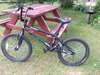 BMX - photo 1