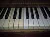 Technicien - Accordeur de piano - photo 7
