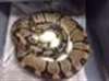 Avez-8 python normale prouv&#233; femelles - photo 1
