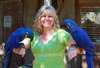 Perroquets ara hyacinthe pour adoption - photo 1