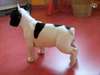 Chiot bouledogue français femelle pure race lof - photo 3