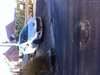 Superbe Peugeot 207 - photo 2