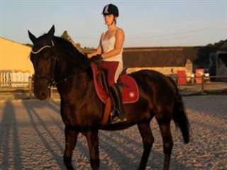 frisson a vendre bon prix