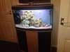 Aquarium 3ft FLUVAL arc bec - photo 1