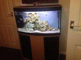 Aquarium 3ft FLUVAL arc bec