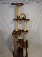 arbres a chat