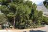 terrain &#224; b&#226;tir &#224; Sierra de Altea - Alicante, Espa - photo 5