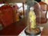 Jeune fille en cire dans un dôme de verre - photo 1