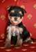 jolie chiots yorkshire toy - photo 4