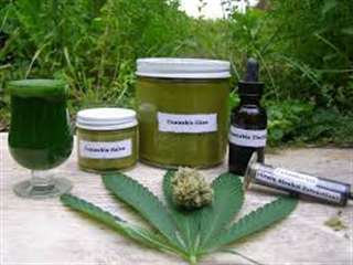 marijuana médicale Cannabis Oil remède pour cancer