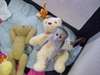 Agréable  bebes singes capucin a donner urgent!! - photo 1