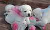 Chiots type LABRADOR - photo 1