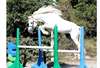 Poney Etalon Connemara - photo 2