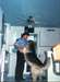 Recherche Beger Allemand - photo 1