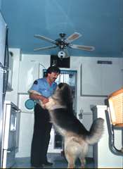 Recherche Beger Allemand